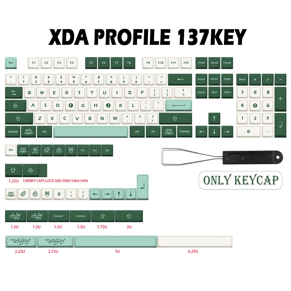 XDA English