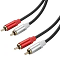 2RCA to 2RCA