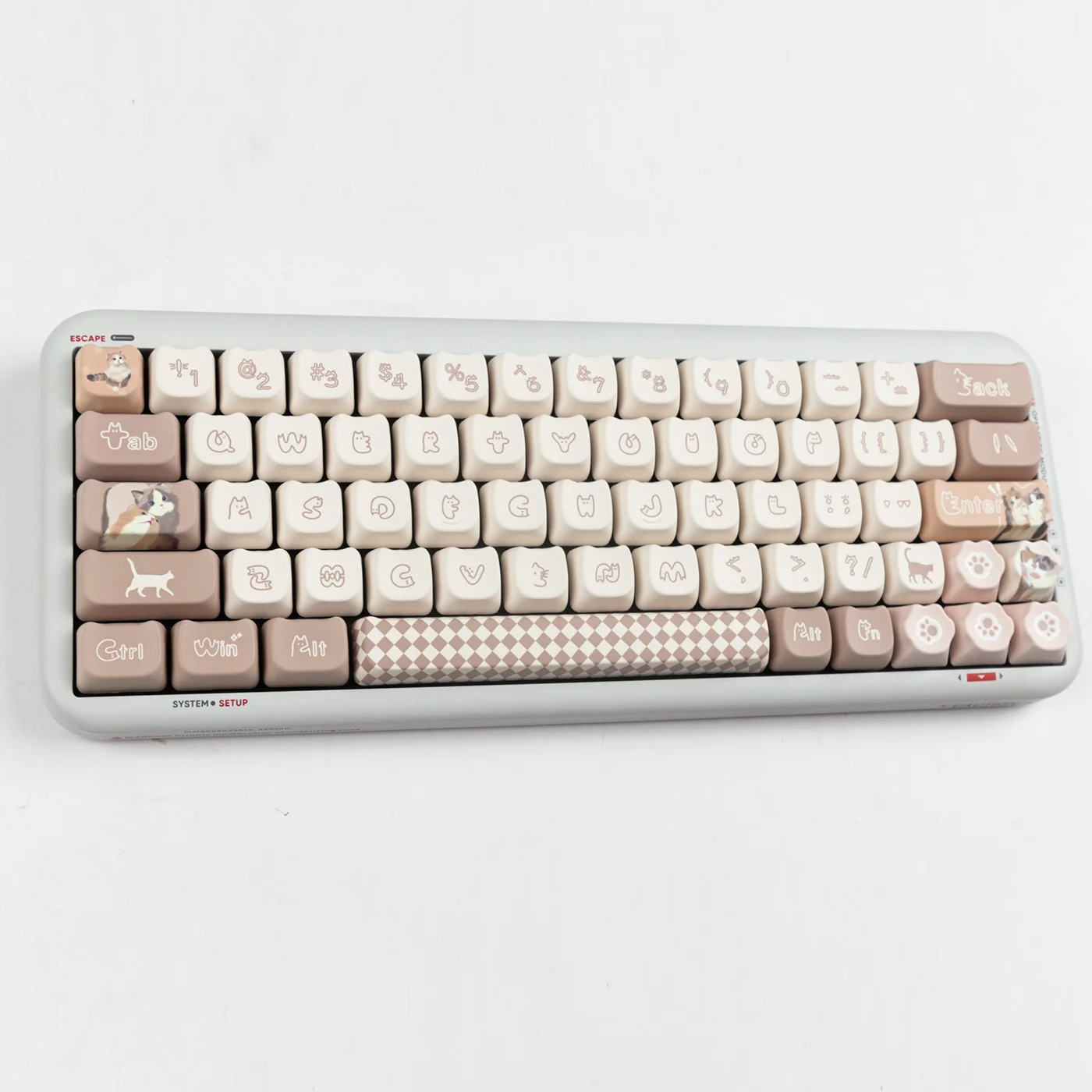 Teclas de gato adhesivas, 144 teclas, Material PBT, perfil MAO, DYE-SUB Wooting, personalizadas para teclado mecánico CHERRY MX Switch - imagen 4