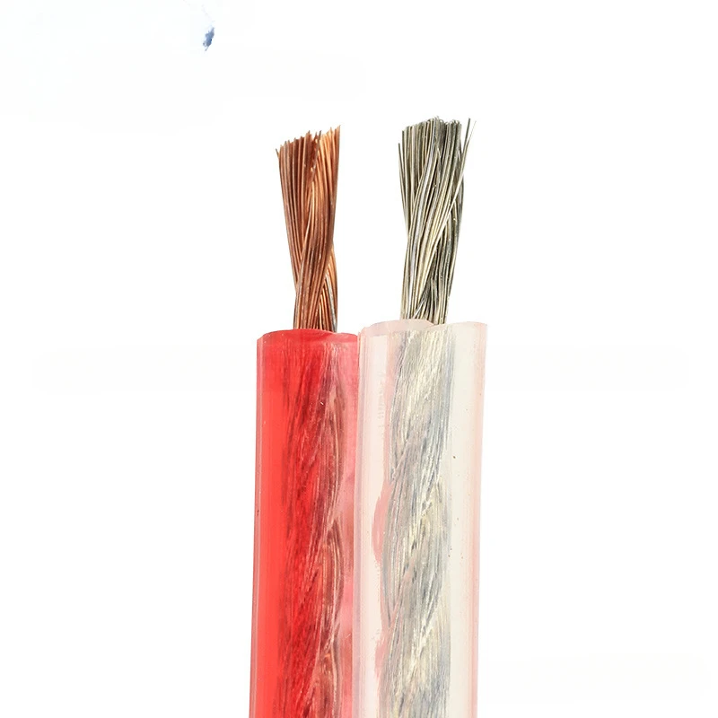 Cable de altavoz de Audio de cobre y aluminio sin oxígeno RVH200-600, Cable de Audio para fiebre, Cable de altavoz de Audio transparente dorado y plateado