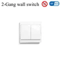 2 Gang Wall Switch