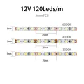 5mm 12V 120LEDS