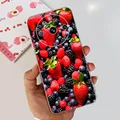 case-c25
