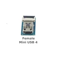Mini USB-4 Female