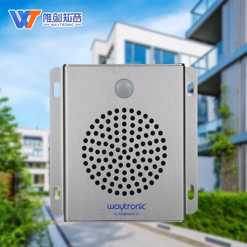 Reproductor de voz reemplazable con visualización de tiempo con detección de movimiento humano y reproducción de sincronización - imagen 4