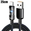0.25M Type C Cable
