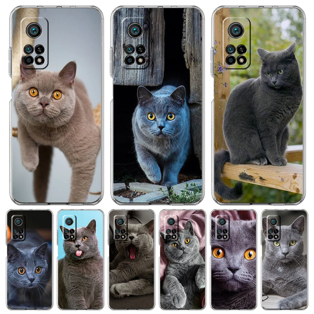 Funda de teléfono de gato corto británico para Xiaomi, 14, 13, 12 Lite, Mi 11, 11X, 13T, 12T, 11T, Poco X5, X4, X3, NFC, F5, F4, M4 Pro, 5G