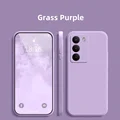Grass Purple