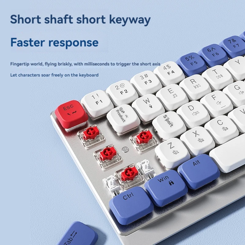 EWEADN-Teclado mecánico MK68 de bajo perfil, teclado inalámbrico con junta Bluetooth, portátil, personalizado, para oficina, juegos, PC, portátil, Ipad, 70% - imagen 2