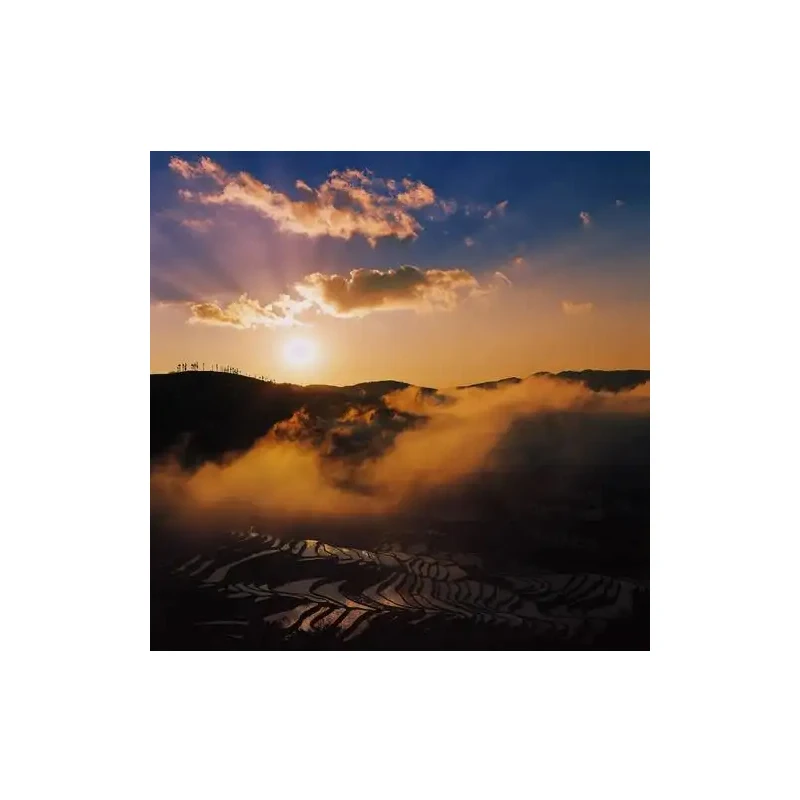 Estabilizador de Selfie con mango Bluetooth para teléfono inteligente, palo de mano, luz de relleno para Selfie Vlog, accesorios de fotografía