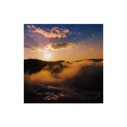 Estabilizador de Selfie con mango Bluetooth para teléfono inteligente, palo de mano, luz de relleno para Selfie Vlog, accesorios de fotografía