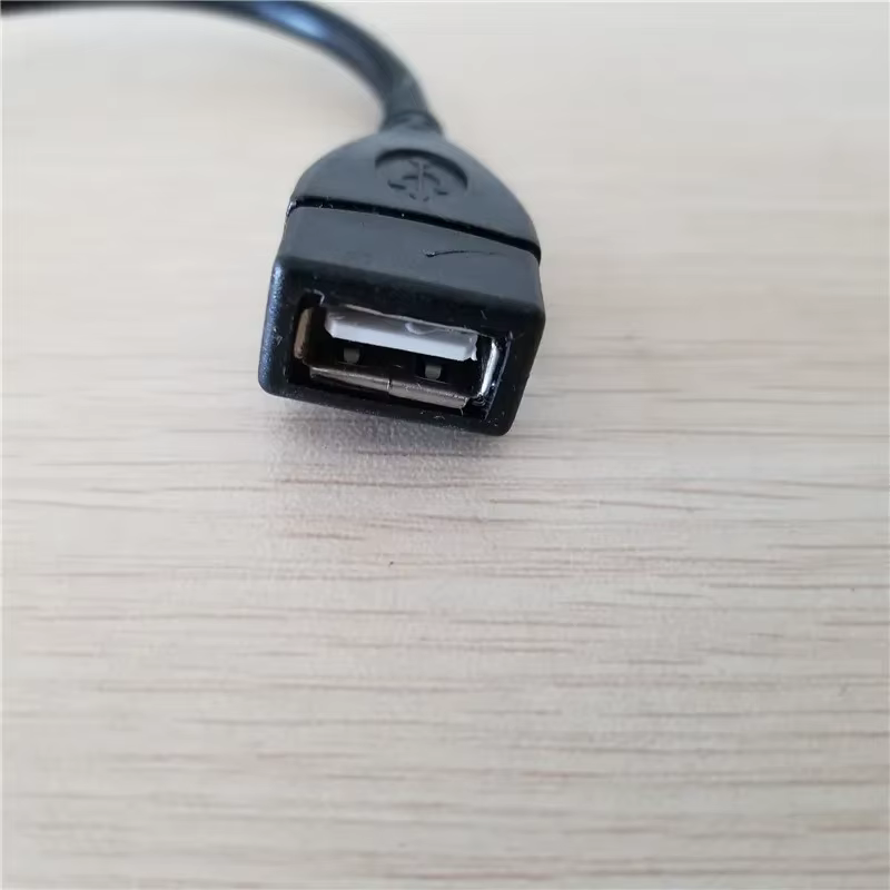 Cable Extensión USB 2.0 Hembra Tipo-A 5 Pines 20cm Negro - imagen 3