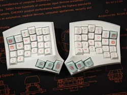 Teclado dividido curvo Cygnus USB-C intercambio en caliente Vial