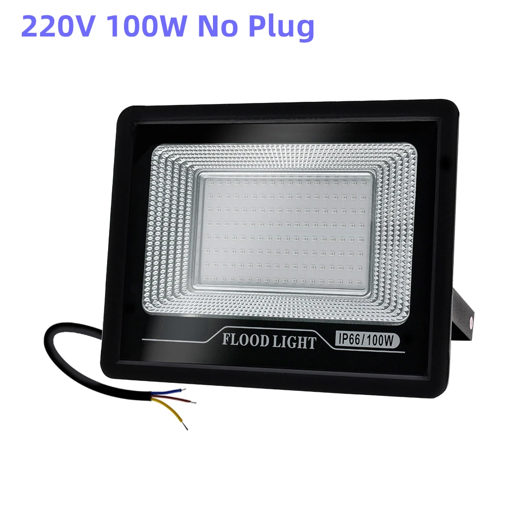 220V 100W No Plug