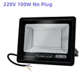 220V 100W No Plug