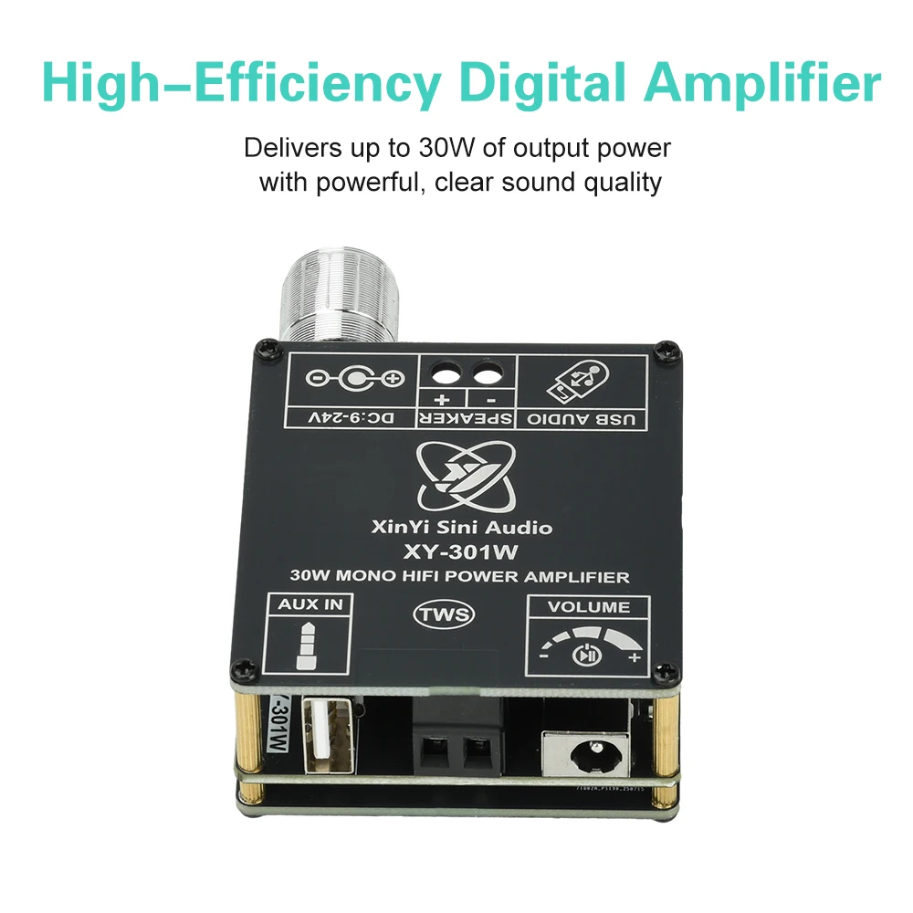 AMPLIFICADOR BT DC 9-24V XY-301W Mono 30W reproductor de Audio de calidad de sonido Hi-Fi compatible con interfaz TWS amplificador de cine en casa - imagen 4