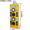 TNHA1-T481