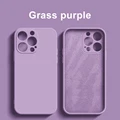Grass purple