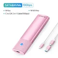 NVMe SATA-2in1 pink