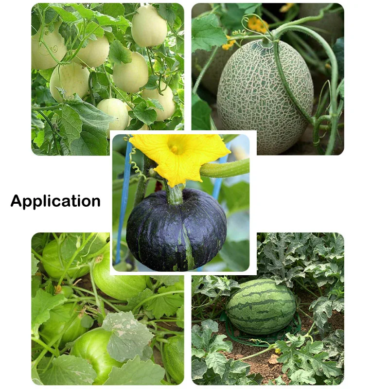 Soporte de plástico para jardinería, sandía, frutas y verduras, bandeja de soporte, soporte para marco de cesta, estante para plantas, herramienta de protección antiencogamiento para jardín - imagen 5