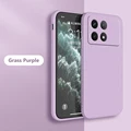 Grass Purple