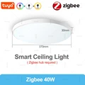 Zigbee 40W