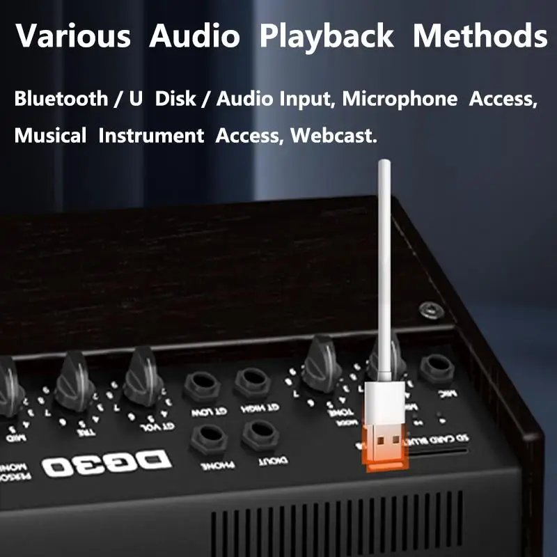 Altavoz amplificador de guitarra acústica de alta potencia de 8 pulgadas 30W recargable Bluetooth 8Ω Audio exterior Roadshow altavoz de alta fidelidad - imagen 5