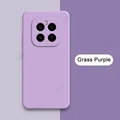Grass Purple