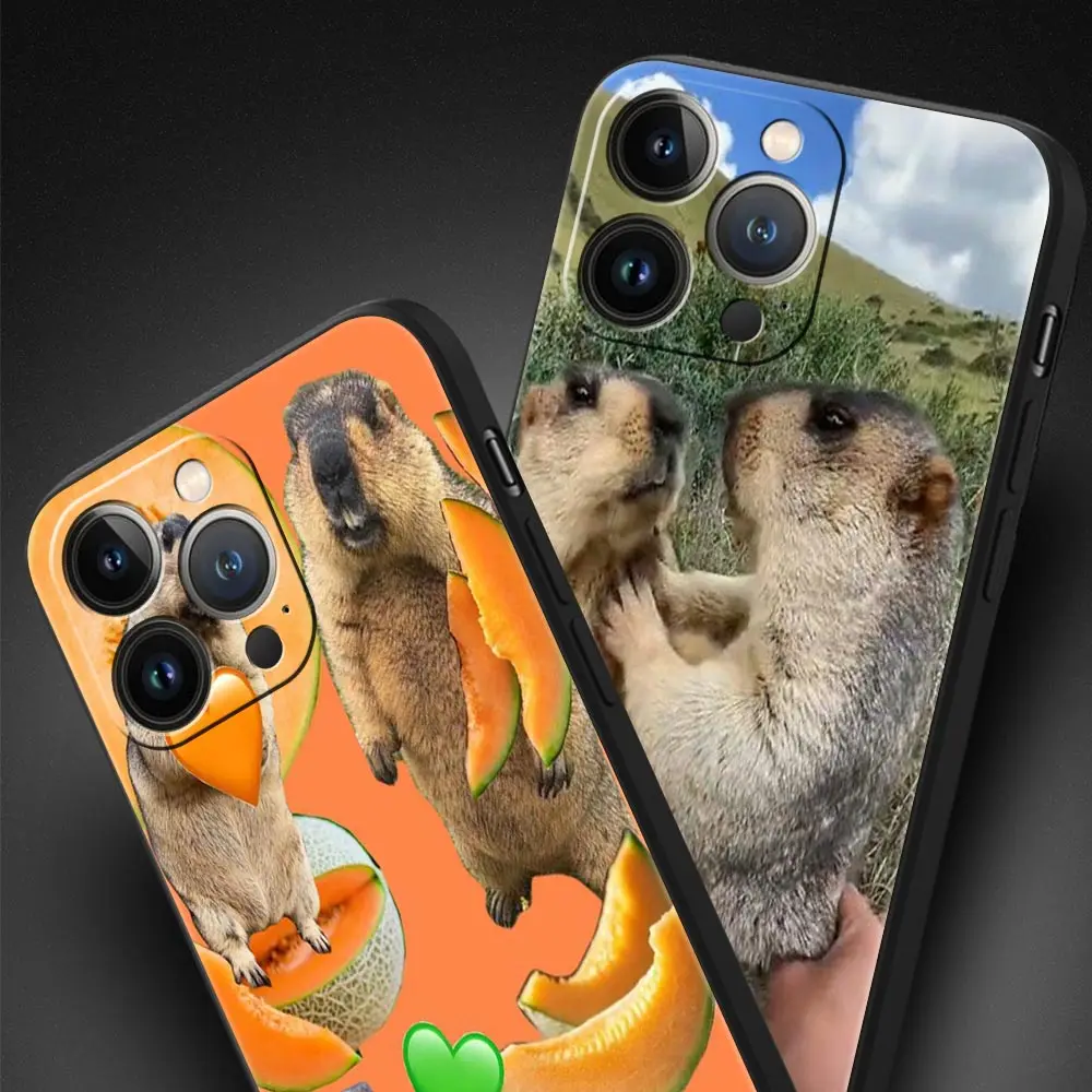 Funda de teléfono de lujo marmot para Apple iPhone 16 11 15 14 Pro MAX 12 13 7 8 Plus X XR XS SE funda negra de silicona - imagen 3