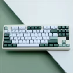 Juego de 170 teclas QX GMK, teclas botánicas PBT, teclas de doble disparo, teclas de perfil de cereza para 61 64 68 87 96 980 Corsair K70 K95