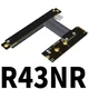R43NR