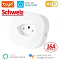1PC Switzerland Plug