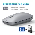BT5.0 - 2.4G Grey