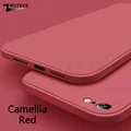 Camellia Red