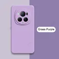 Grass Purple