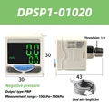 DPSP1-01020