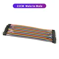 21cm M-M 40PIN