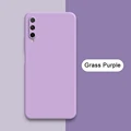 Grass Purple