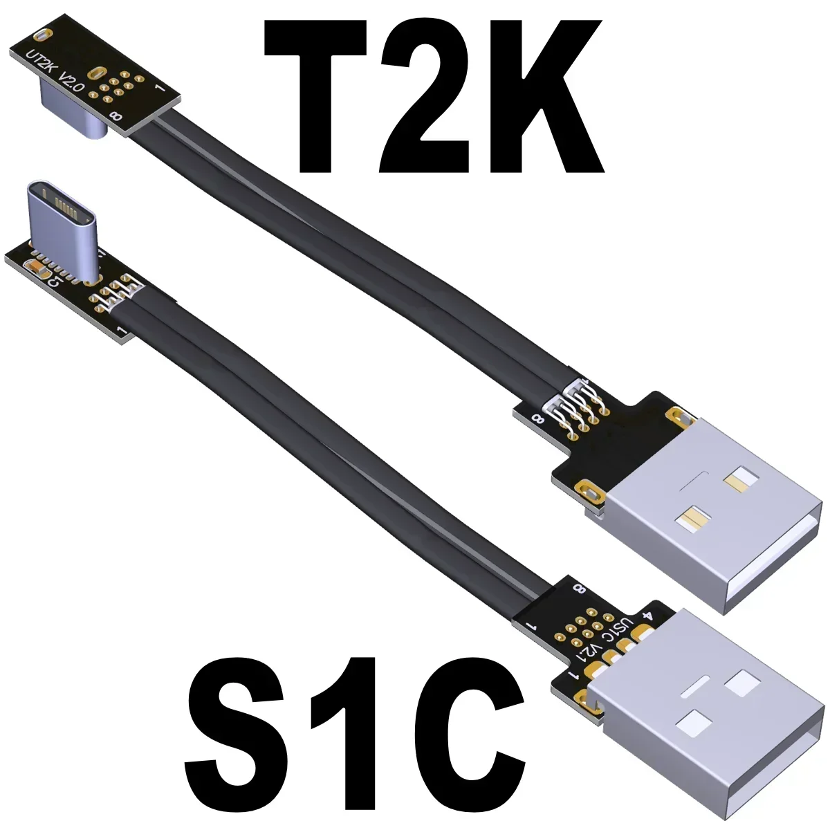 S1C-T2K