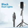Black Dual Lights