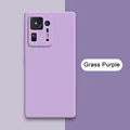 Grass Purple