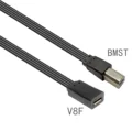 V8F-BMST