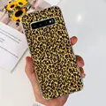 case-c27