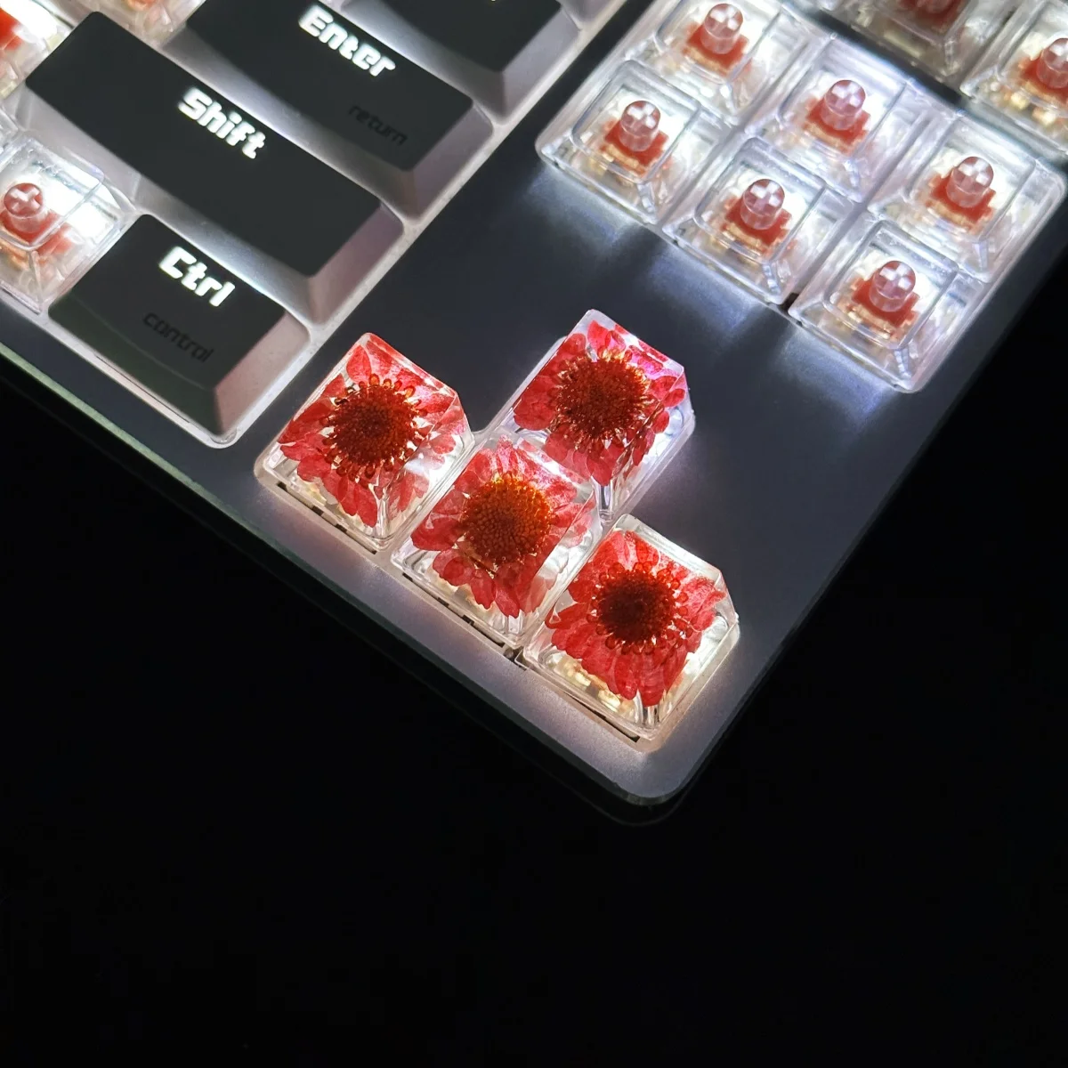 Teclas de Teclado mecánico de crisantemo, flor seca, bricolaje - imagen 2