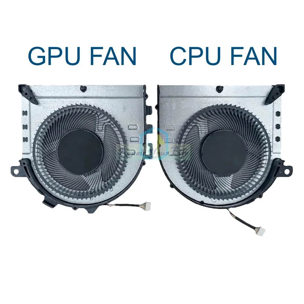 A Pair of Fans