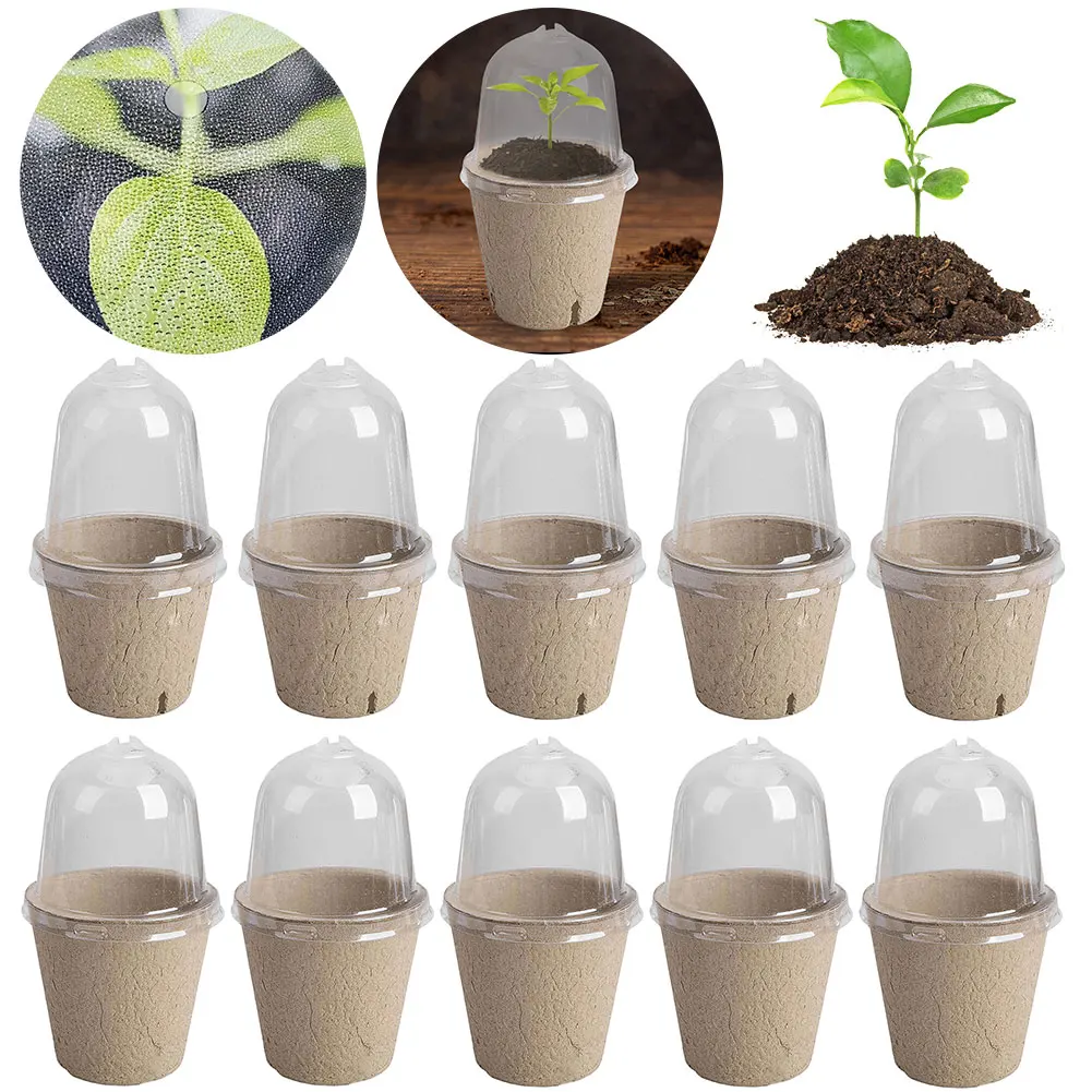 Taza de plántulas con tapa transparente, caja de cría de invernadero, taza de cultivo de plantas biodegradable, versátil para jardinería, 10 Uds.