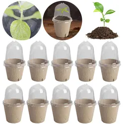 Tazas Semillero Biodegradables con Tapa Invernadero para Cultivo