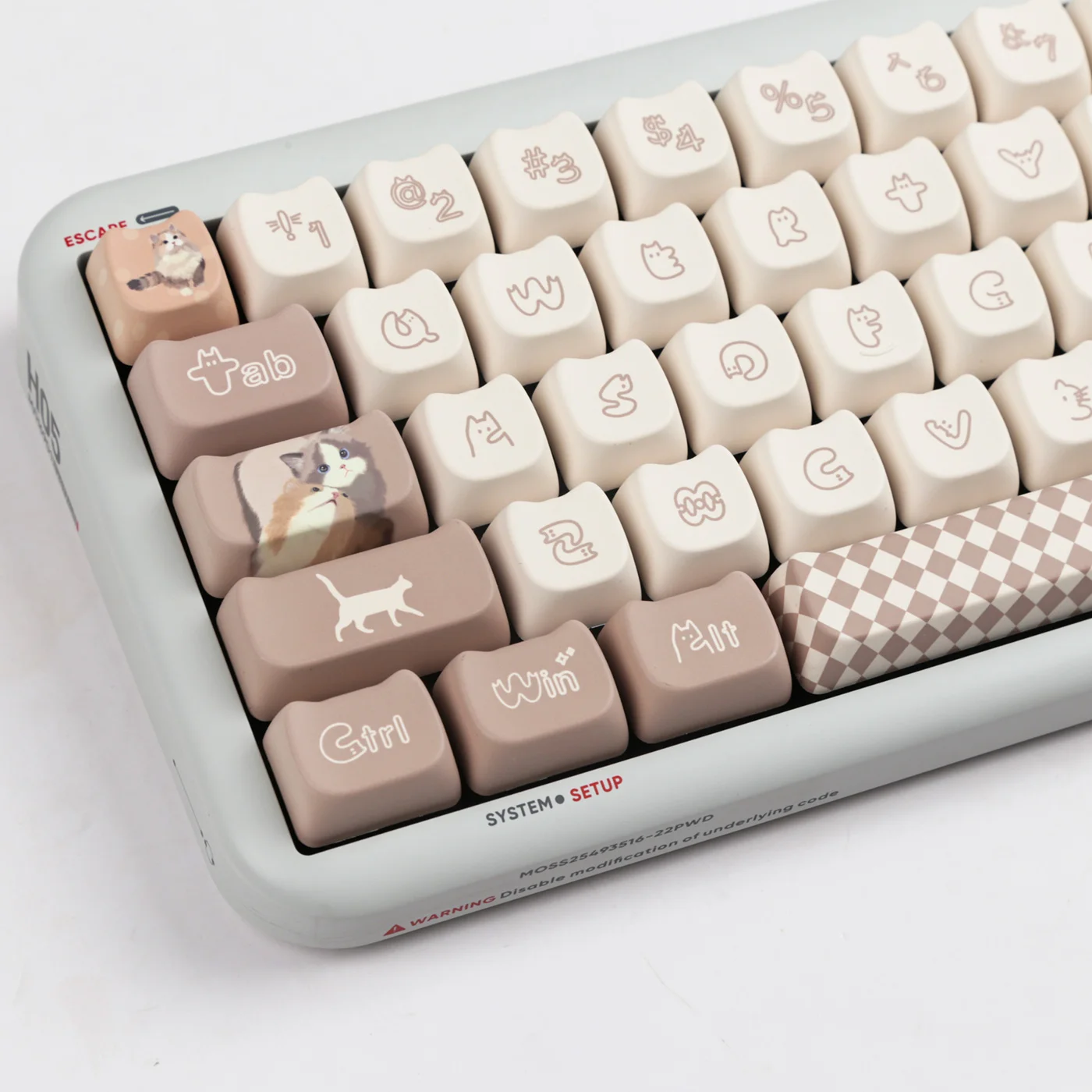 Teclas de gato adhesivas, 144 teclas, Material PBT, perfil MAO, DYE-SUB Wooting, personalizadas para teclado mecánico CHERRY MX Switch - imagen 2