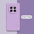 Grass Purple