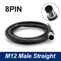 Straight male 8p